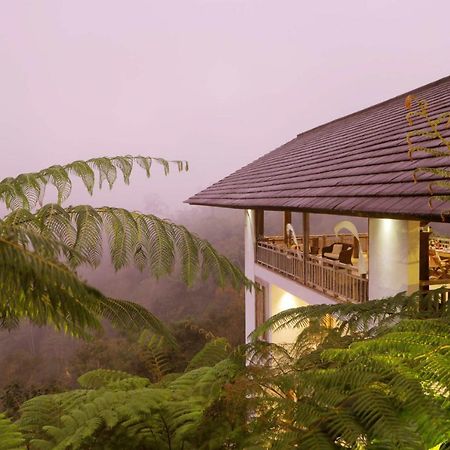 ホテル The Bejalin Eco Retreat Plaga エクステリア 写真