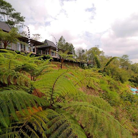 ホテル The Bejalin Eco Retreat Plaga エクステリア 写真