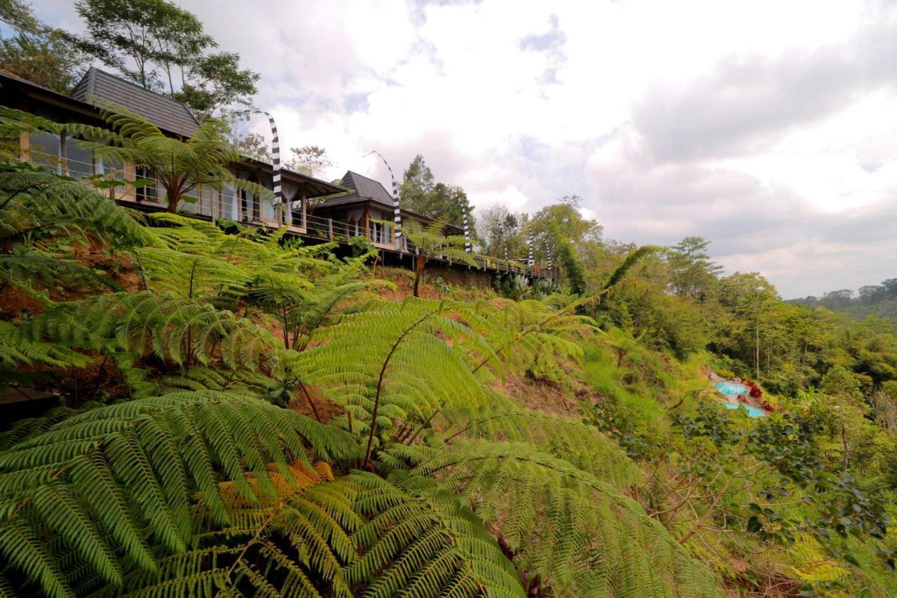 ホテル The Bejalin Eco Retreat Plaga エクステリア 写真